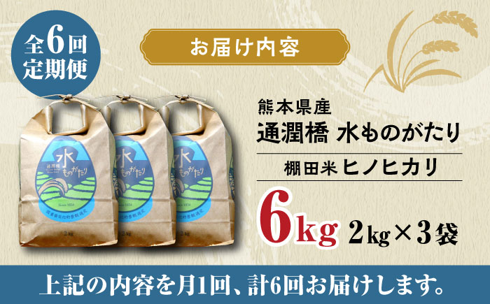 【全6回定期便】令和5年産  通潤橋 水ものがたり 棚田米 6kg (2kg×3袋) お米 白糸台地 熊本産 特別栽培米 定期便 ヒノヒカリ ひのひかり【一般社団法人 山都町観光協会】[YAB028]