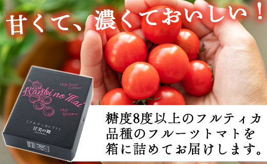 高糖度＆高機能性 フルーツトマト 2kg 2カ月定期便 合計4kg - 甘美の舞 期間限定 季節限定 野菜 やさい フルティカ 完熟 ミニトマト プチ 新鮮 お弁当 贈り物 サラダ 産地直送 高知県 