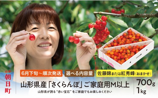 
                  山形県産 さくらんぼ （ 佐藤錦 ・ 紅秀峰 ） ご家庭用 M以上 選べる容量 700g ・ 1kg 【2026年6月中旬から順次発送】 山形県 果物 サクランボ フルーツ 初夏 夏 先行予約 送料無料
                