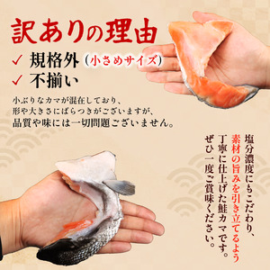 【 訳あり 】 銀鮭カマ 約4kg サケ  | 鮭