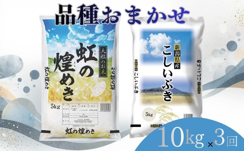 【7月下旬より配送】 新潟県産 品種おまかせ 10kg  3か月定期便 新潟県 新潟市産 令和7年産 お米 精米 米 ご飯 送料無料
