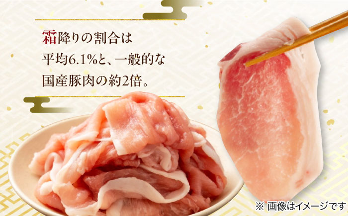 瑞浪ボーノポーク 焼肉用 4種盛りセット (ロース・肩ロース・バラ・小間切れ) 計1.2kg 瑞浪市 / マルチョウ渡辺精肉店 冷凍 小分け 豚肉 国産 [AZCW038] 1.2kg