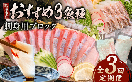 【3ヶ月定期便】(冷蔵)結城水産おすすめ！お刺身用ブロック N015-YD0239
