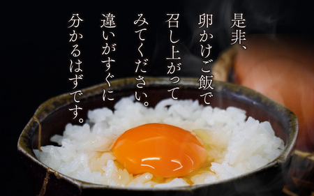 濃厚で甘くておいしい！ 福井ブランド「福地鶏」の卵 30個（15個入×2段） ／ 卵 たまご 鶏卵 生卵 有精卵 高級 高級卵 福地鶏 鶏 平飼い 美味しい こだわり 卵かけご飯 料理 あわら市 福井