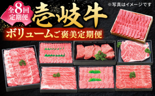【全8回定期便】 特選 壱岐牛 月イチ ご褒美 定期便 （ボリューム）《壱岐市》【太陽商事】[JDL095] 肉 牛肉 ステーキ サーロイン モモ 焼肉 すき焼き しゃぶしゃぶ 赤身 定期便 ゴチになります 壱岐牛 ＼ぐるナイで紹介／