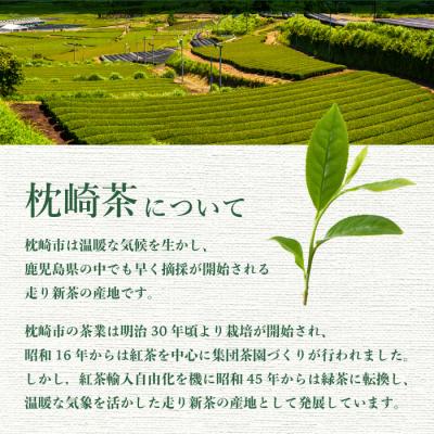 ふるさと納税 枕崎市 水出し緑茶ティーバッグ 90g(5g×18P) 8袋【合計144P】 A8-70 |  | 02
