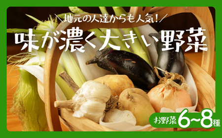 【先行予約】お野菜セット 旬の夏野菜と平飼い卵のお楽しみボックス【2026年7月上旬以降順次発送予定】 [m75-a002]
