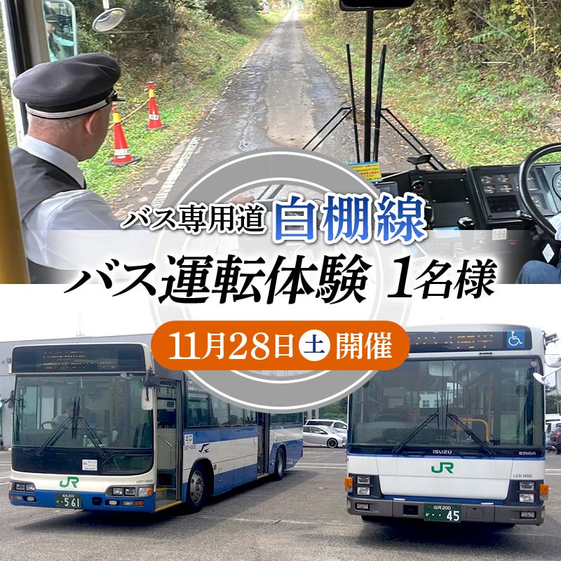 【11月28日開催】バス専用道「白棚線」 バス運転体験 1名様 運転 体験 イベント F24R-116