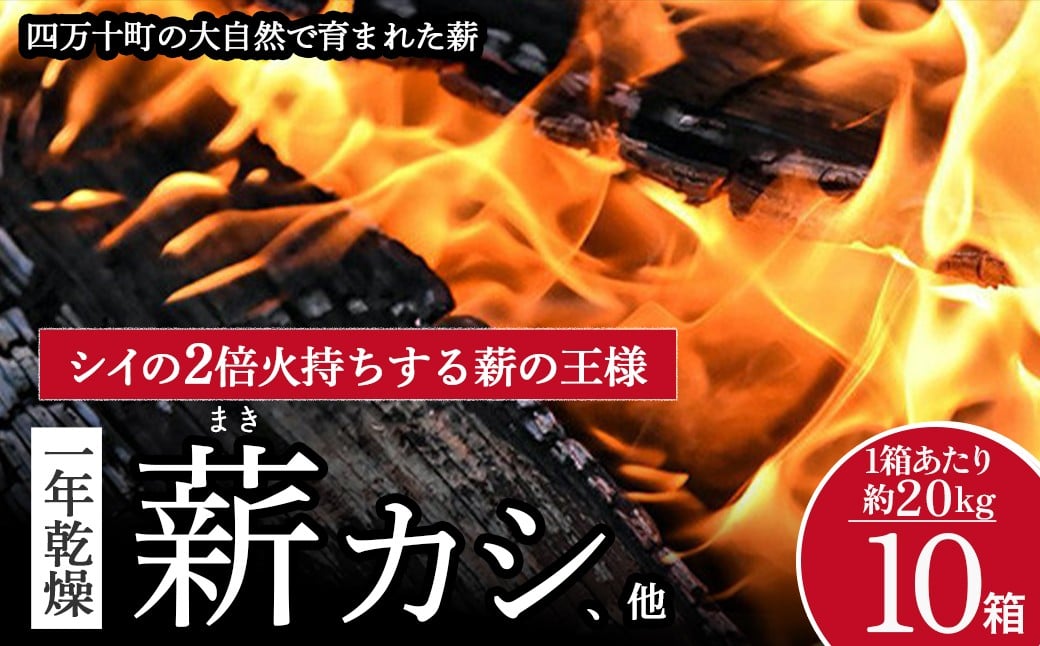 
                  四万十の薪　1年乾燥　カシ他(約20kg)×10箱　Bnm-25　／乾燥 まき アウトドア キャンプ ファイヤー 薪ストーブ焚き火 焚火 森林 林業 サウナ 
                