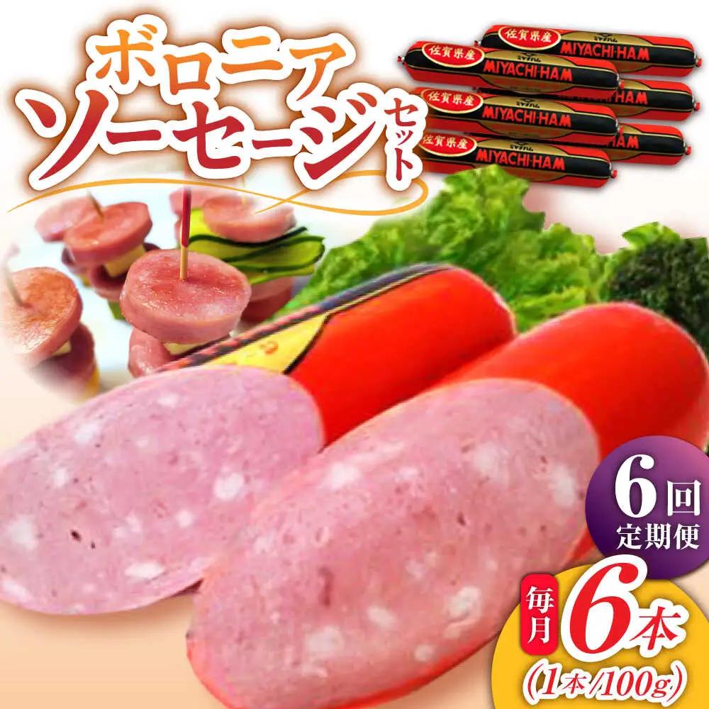 【6回定期便】 ボロニアソーセージ6本 ソーセージ [UBM012]