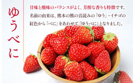 【先行予約】 ゆうべに・恋みのり 食べ比べセット 約1kg 果物いちご苺ZBG064