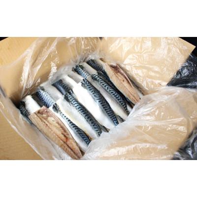 ふるさと納税 田辺市 塩さば 切り身 3kg(約20枚前後)【mts007-4】 |  | 02