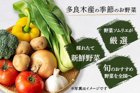 【数量限定】野菜ソムリエ 監修 旬の おすすめ 野菜 セット ４?5品 (1?2名様向け) 野菜 獲れたて 直送 旬 熊本県 多良木町 調味料 024-0801