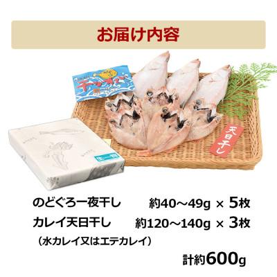 ふるさと納税 浜田市 のどぐろ一夜干し5枚　カレイ天日干し3枚　計約600g |  | 02