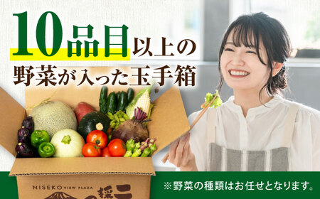 【2026年9月上旬以降順次発送】朝採れ 旬の野菜 10品目 野菜 先行予約 北海道 産地直送 旬 詰合せ [AJAH032]