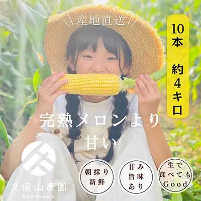 【完熟メロンのように甘い】朝採り!スイートコーン　約4kg【贈答用にもオススメ】【スイートコーン 甘い コーン 野菜 やさい とうもろこしトウモロコシ 福岡県 筑前町】【価格改定】