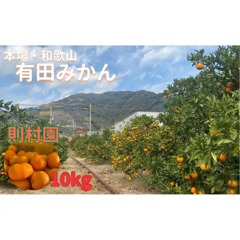 則村園産 有田みかん 10kg 温州みかん みかん 蜜柑 甘い 甘いみかん 有田 有田川町 和歌山