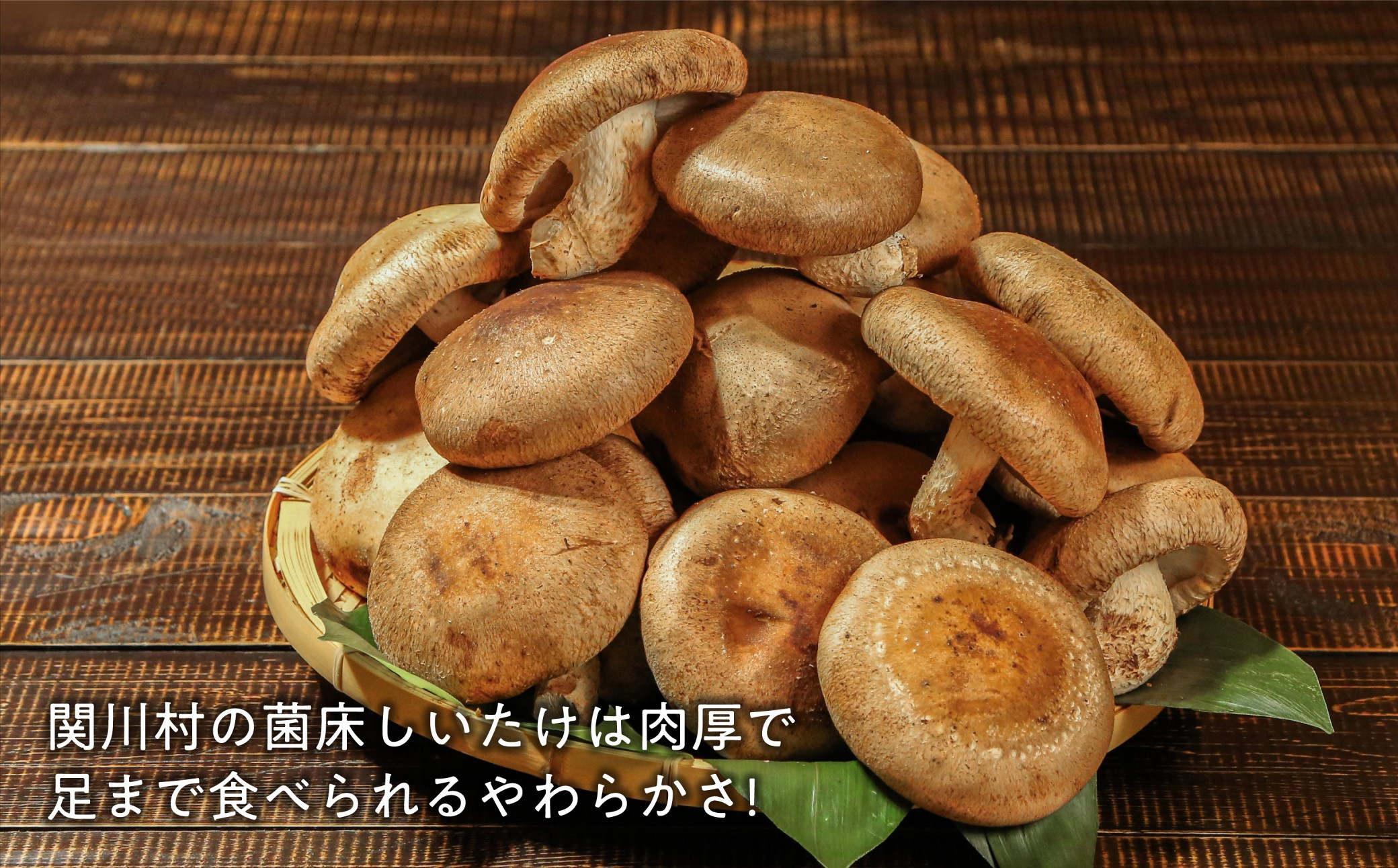 
あらかわ生しいたけ　大したもんじゃセット(生しいたけ、乾燥しいたけミンチ、乾燥キクラゲ)【1442540】
