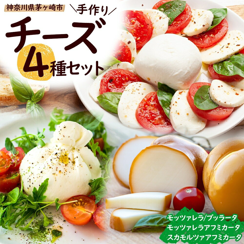 【ふるさと納税】【選べる配送回数/定期便】自家製 フレッシュチーズ 4種 詰め合わせ モッツァレラ ブッラータ スカモルツァ アフミカータ チーズ 単品 定期便 出来立て 手作り おつまみ ピザ カプレーゼ