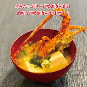 伊勢海老 350～450g 冷凍 鍋 刺身 高級 伊勢エビ イセエビ 高知県 須崎市 伊勢海老 刺身伊勢 海老蒸し 伊勢海老 海鮮丼 伊勢えび おさしみ 伊勢えび カルパッチョ 伊勢えび 粉チーズ 伊