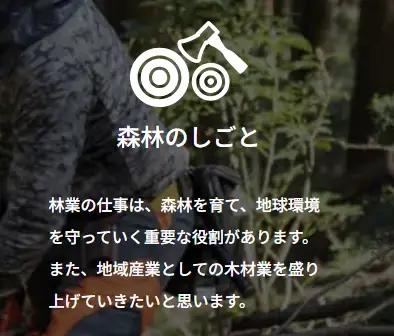 【 三好市 】無垢 木製 災害用 ベッド 防災 グッズ 避難 【 ベッド 】