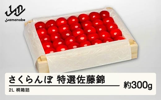 《先行予約》2025年 山形県産 特選佐藤錦 桐箱詰め 約300g 2L やまのべ多田耕太郎のさくらんぼ サクランボ tn-snxxk300