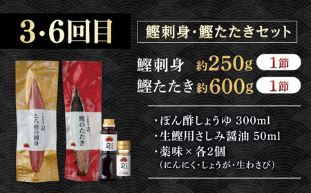 【6回定期便】人気！カツオとうなぎ 食べ比べ定期便　約2名分【株式会社土佐料理司】[ATAD079]