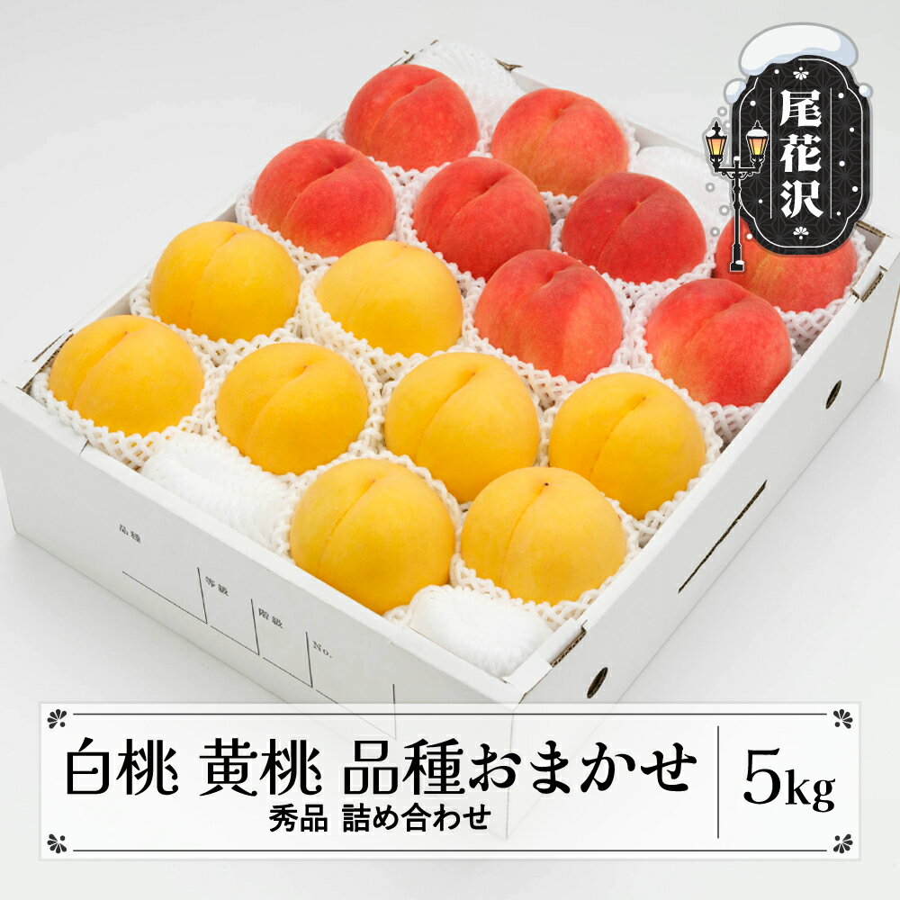 【ふるさと納税】先行予約 もも 白桃 有袋黄桃 秀品 詰め合わせ 品種おまかせ 約5kg（12~20玉）化粧箱入 フルーツ 果物 アソート 令和8年産 2026年産 山形県産 ns-mohot5※沖縄・離島への配送不可