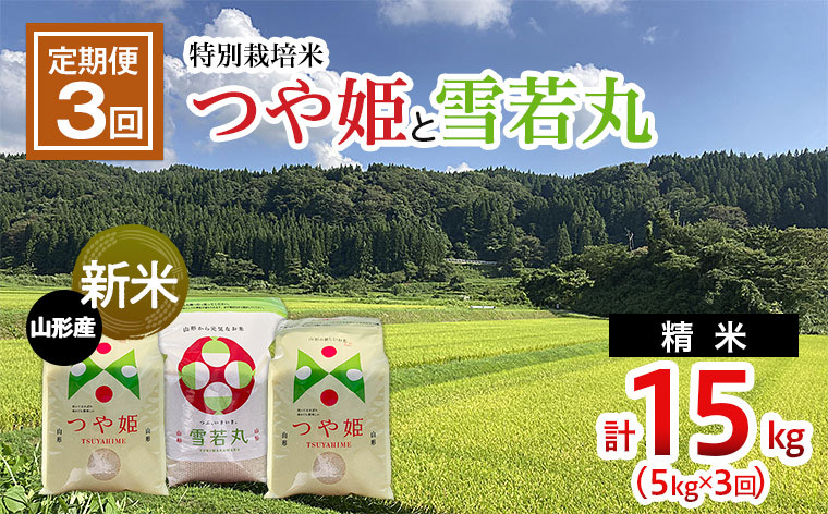 
【令和6年産新米】【定期便3回】新米☆特別栽培米 つや姫(5kg×2ヶ月)と雪若丸(5kg×1ヶ月）計15kg FU22-085
