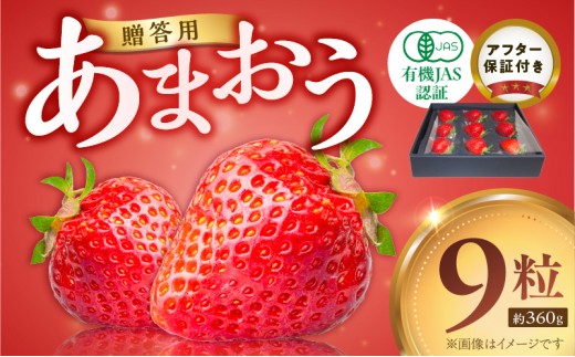 贈答用有機あまおうギフト9粒（約360g） _ 贈答用 有機 あまおう ギフト用 9粒 約 360g オーガニック いちご ストロベリー 特別栽培 認証 アフター保証付き 安心 安全 上品な甘さ 艶 ジューシー 果物 果汁 フルーツ スイーツ デザート 冷蔵 贈り物 お取り寄せ 福岡県 久留米市 送料無料 _Fi079