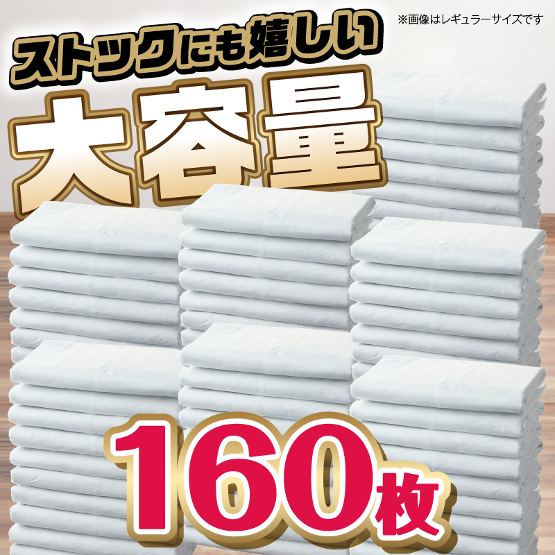 消臭炭シート　ダブルストップ　ワイド ペットシーツ40枚×4パック しっかり吸収 (1469)
