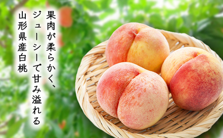 【先行予約 令和7年度発送】柔らかめ白桃 約2kg（4～10玉） 品種おまかせ もも モモ 桃 デザート フルーツ 果物 くだもの 果実 食品 山形県 FSY-0665