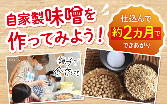 【自宅で味噌づくり】手作り味噌キット『麦味噌』＜川添酢造＞ [CDN008]
