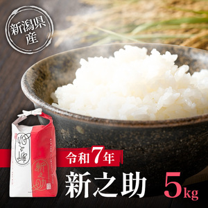新米 令和7年 新潟県産 新之助 5kg 5キロ上越市清里区 新潟 精米 従来品種 希少 限定 送料無料