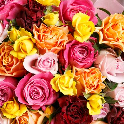 ふるさと納税 静岡市 バラの花束　ミックス 50本 |  | 01