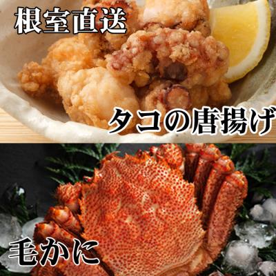 ふるさと納税 根室市 毛かに400g〜550g、たこ唐揚げ250g×2P C-76046