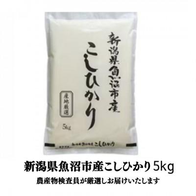 ふるさと納税 魚沼市 【令和7年産】農産物検査員お奨め、魚沼産こしひかり(精米)5kg