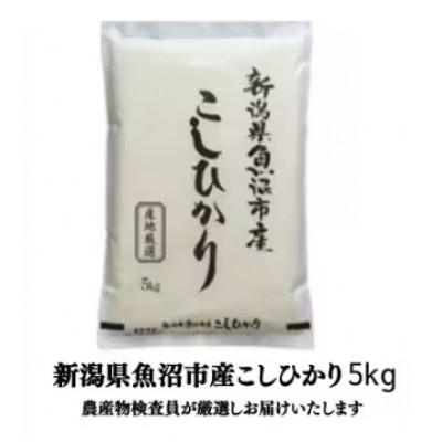 ふるさと納税 魚沼市 【令和8年産先行受付】農産物検査員お奨め、魚沼産こしひかり(精米)5kg