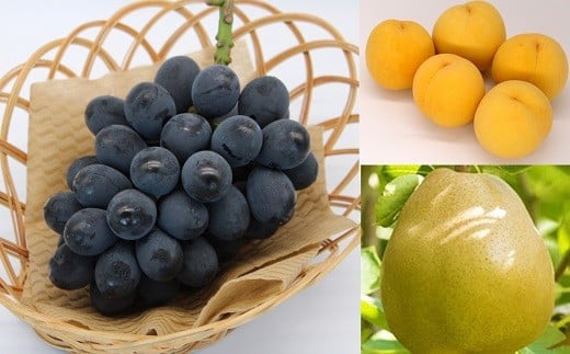 【令和8年産先行予約】 《定期便3回》 流通量が少ない"希少