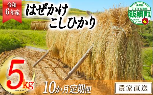 米 はぜかけ こしひかり 5kg × 10回 【 10か月 定期便 】( 令和6年産 ) 増田ファーム 沖縄県への配送不可 2024年11月上旬頃から順次発送予定 コシヒカリ 白米 精米 お米 信州 