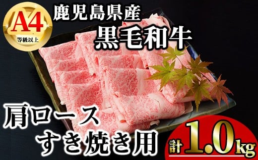 
            【数量限定】鹿児島県産黒毛和牛A4等級以上肩ロースすき焼き用 (計1.0kg＋黒毛和牛こま切れ250g×2P) 鹿児島県産 牛肉 冷凍 【KNOT】 B199-v01
          