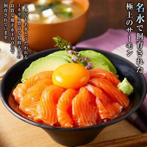 琴浦グランサーモン 1kg （500g×2P） 鳥取 活〆 冷蔵 生フィレ サーモン