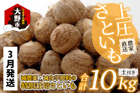 【先行予約】【3月発送分】上庄さといも 10kg 減農薬・減化学肥料の特別栽培里芋 農家直送