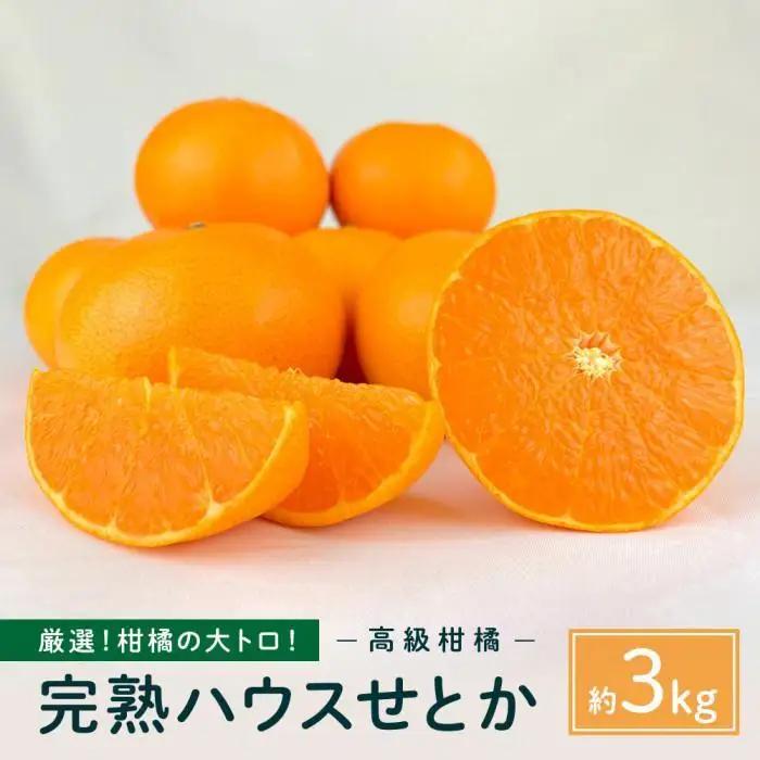 完熟ハウスせとか 3kg |瀬戸内産 せとか