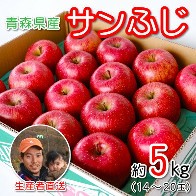 【ふるさと納税】青森県産 産地直送!家庭用 サンふじ 約5kg【配送不可地域：離島】【1387746】