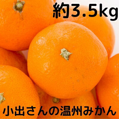 【ふるさと納税】小出さんの温州 みかん 約3.5kg 果物類 柑橘類 フルーツ 　お届け：2025年11月中旬～12月下旬