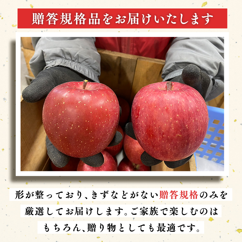 12月 100年の歴史 贈答規格サンふじ 約5kg【田中農園・青森県平川市産・青森りんご】