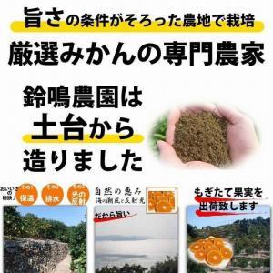 みかん 2.5kg  ご家庭用　和歌山県有田川町産　有田みかん ありだみかん