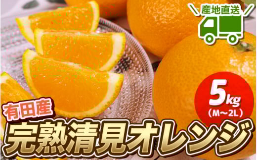【先行予約】 ＼ みかんの名産地 和歌山県産／ 農家直送 完熟清見オレンジ 5kg (M～２Lサイズおまかせ) ひとつひとつ手選別で厳選【2026年3月中旬～4月下旬頃発送予定】/ みかん 果物 くだもの フルーツ オレンジ 有田みかん みかん【hdm003A】