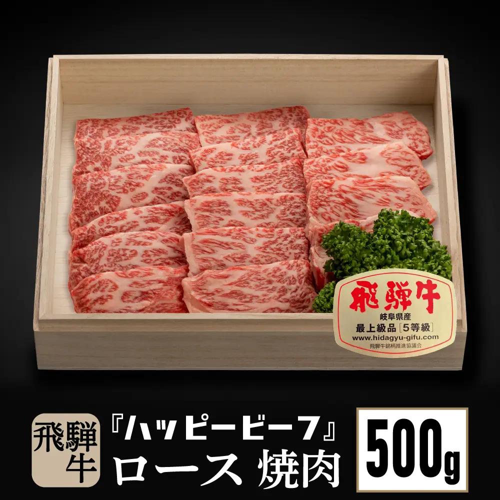 飛騨牛 A5等級 ロース 500g 焼肉 ロース　JQ017-CP01 FN-Limited-PR